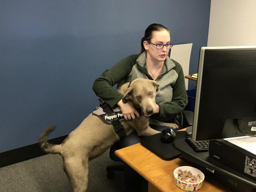 Kari+Grafton%2C+XYZ%2C+and+her+service+dog+Pepper+are+seen+in+Graftons+office+on+Friday%2C+April+19.+Grafton+started+training+service+dogs+after+training+Pepper%2C+who+she+trained+to+help+her+with+her+PTSD+after+being+robbed+multiple+times+at+a+job.